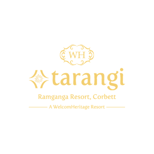 Brand logo 30